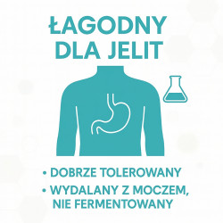 GiDeli Erytrytol 5kg Naturalny Słodzik Bez Kalorii Zamiennik Cukru